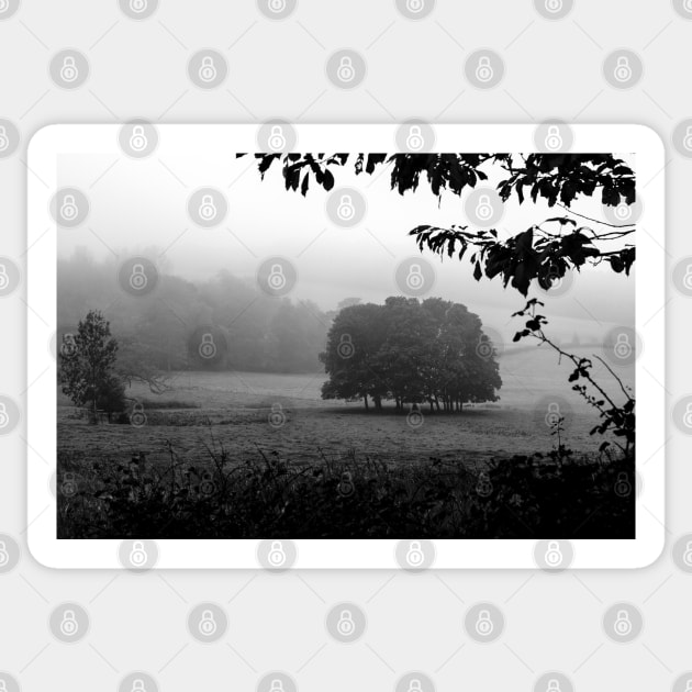 The Grove in fog Sticker by heidiannemorris